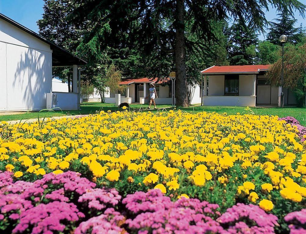 Hotel Garden Park Plava Laguna 4*